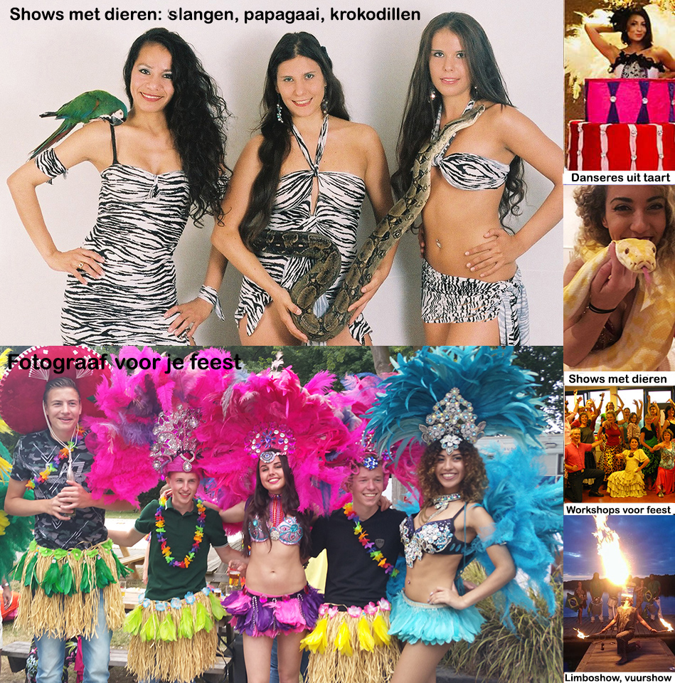 Latino entertainers feest